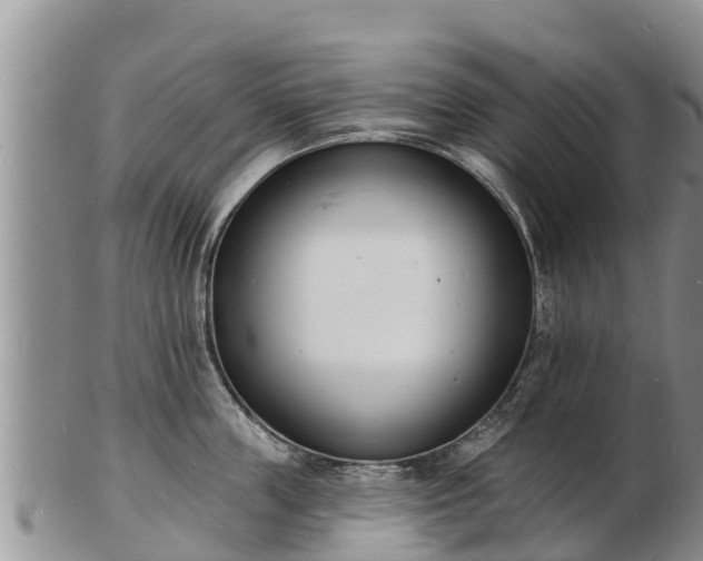 X0000103300859200809051521