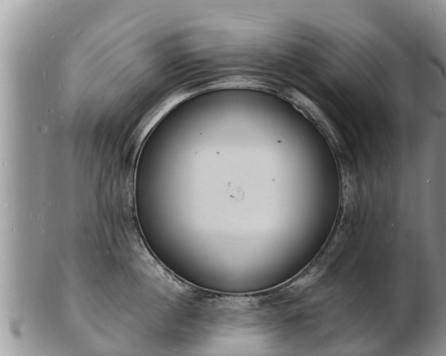 X0000103300860200809051521