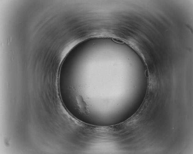 X0000103300863200809051521