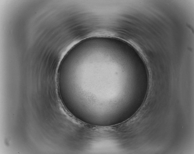 X0000103300864200809051521