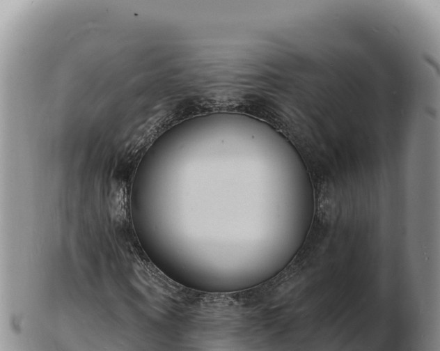 X0000103300866200809051520