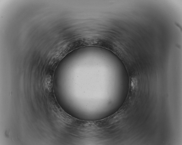 X0000103300867200809051520