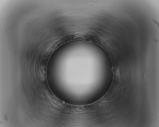 X0000103300868200809051520