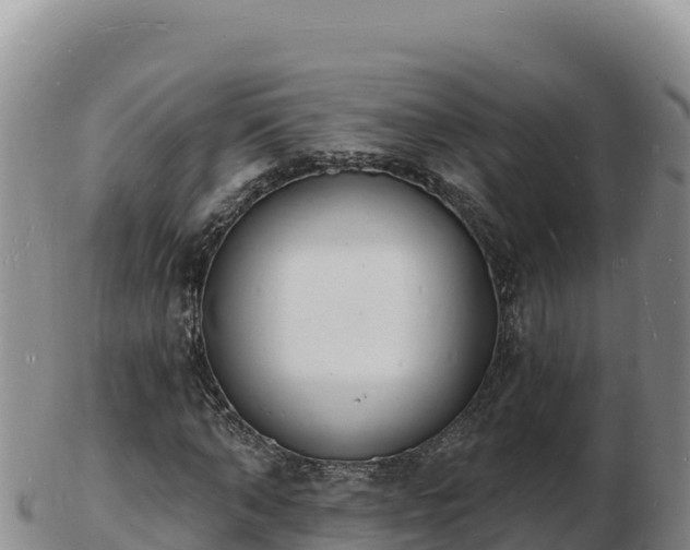 X0000103300870200809051520