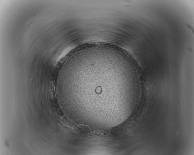 X0000103300871200809051520