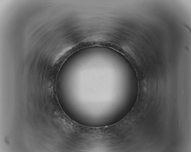 X0000103300872200809051520