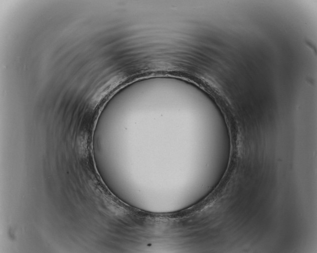 X0000103300873200809051520