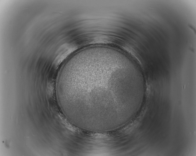 X0000103300874200809051520