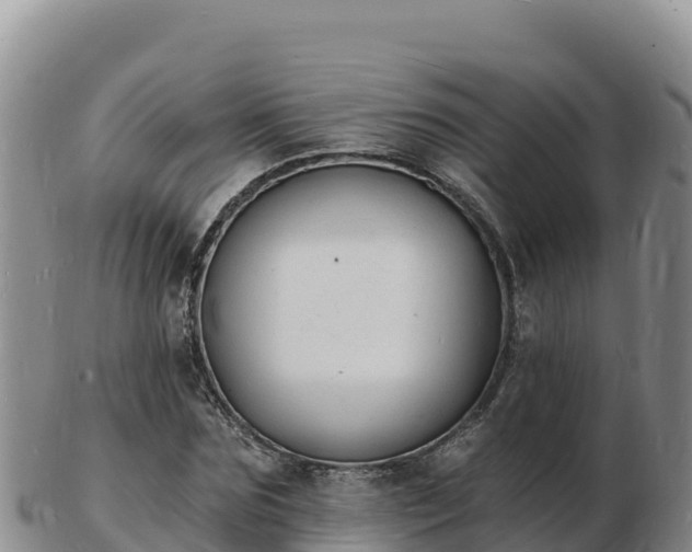 X0000103300875200809051520