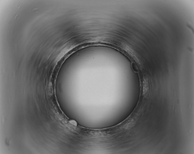 X0000103300876200809051520