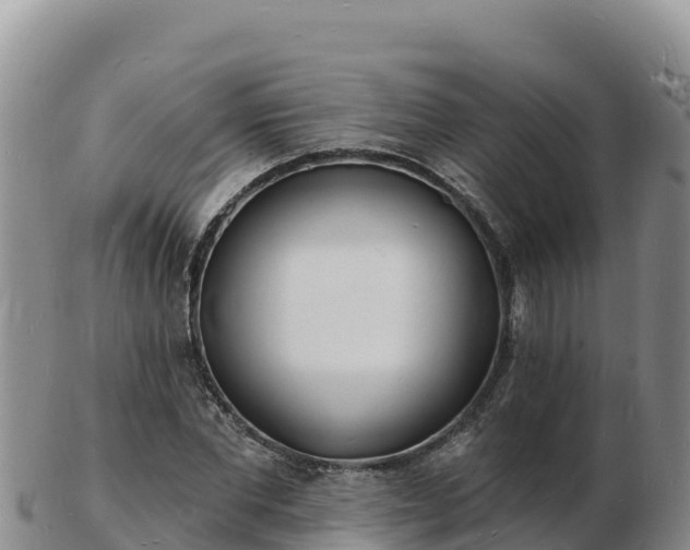 X0000103300877200809051520