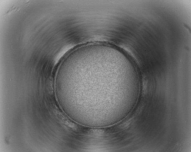 X0000103300878200809051520