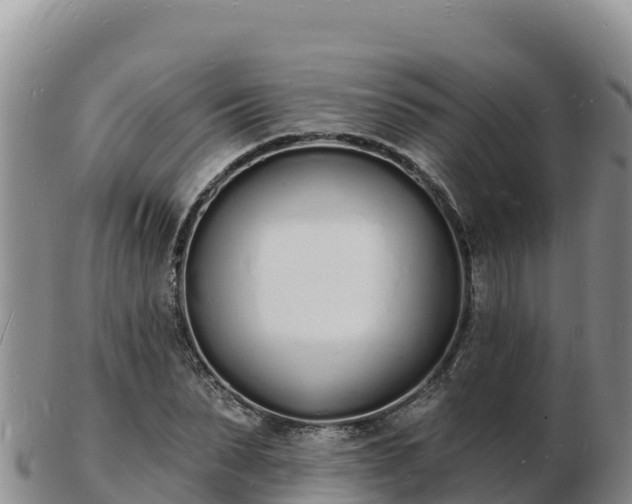 X0000103300879200809051520