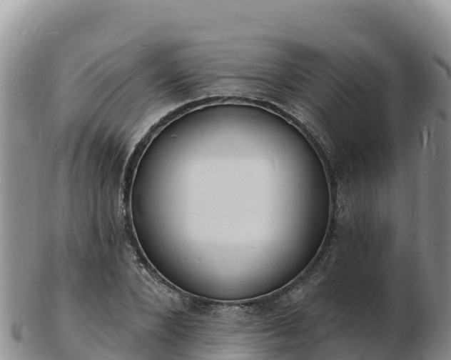 X0000103300880200809051520