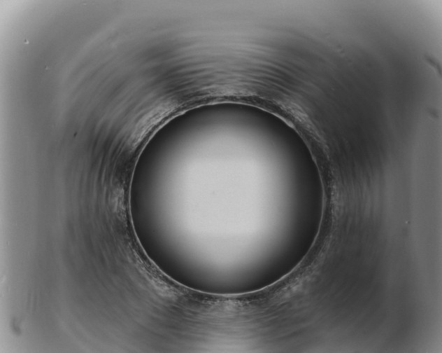 X0000103300881200809051520