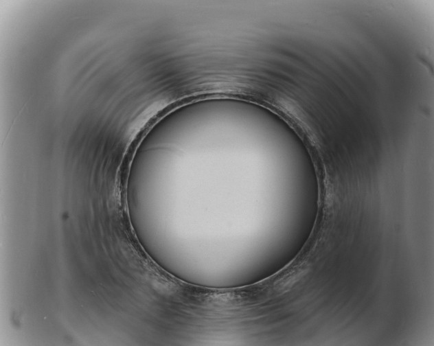 X0000103300883200809051520