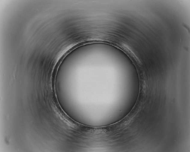 X0000103300884200809051520