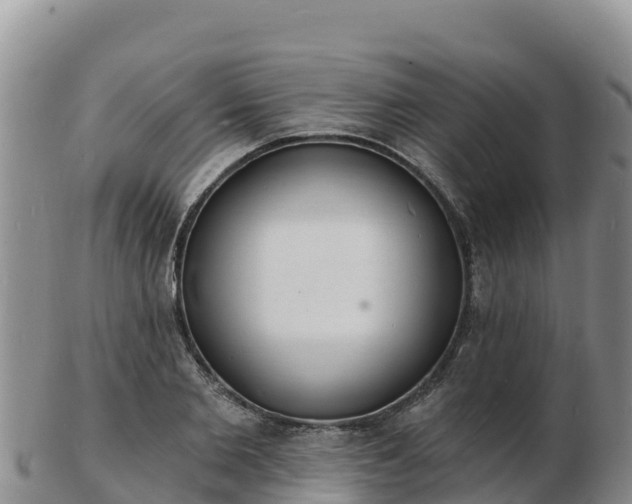 X0000103300885200809051520