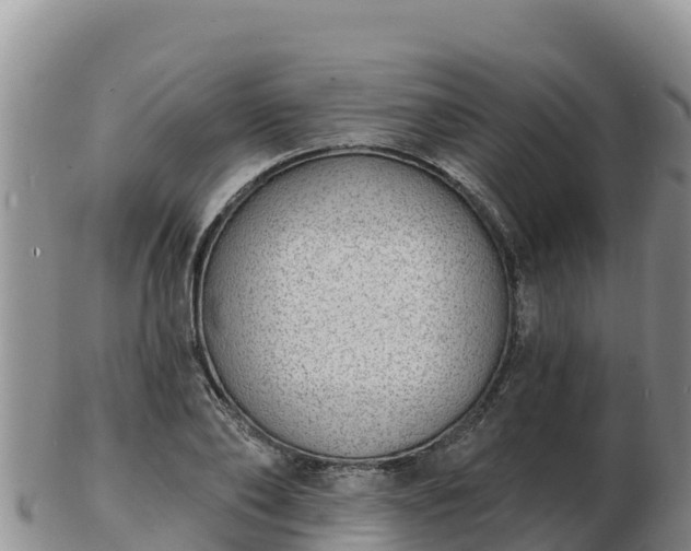 X0000103300886200809051520