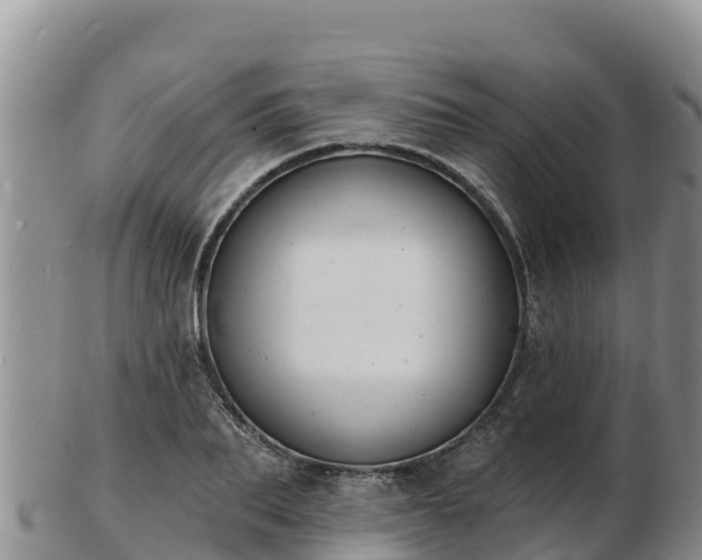 X0000103300887200809051520