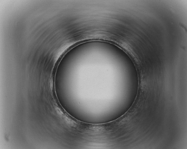 X0000103300888200809051520