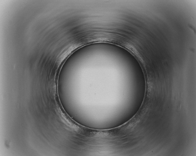 X0000103300890200809051520