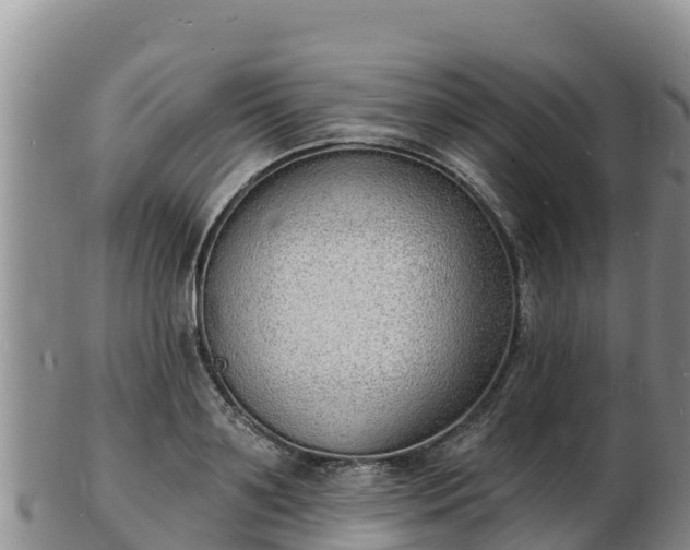 X0000103300891200809051520