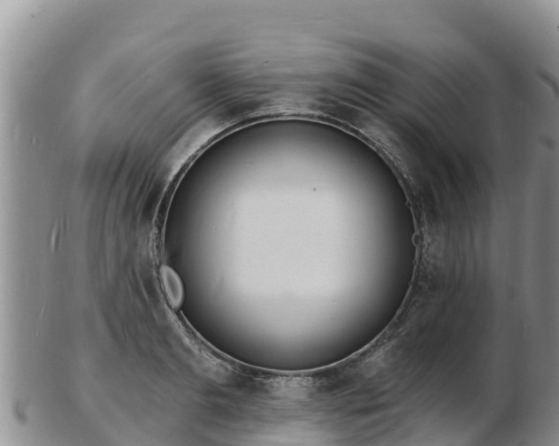 X0000103300893200809051520