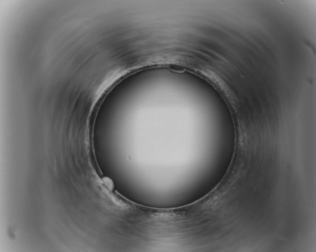 X0000103300894200809051520