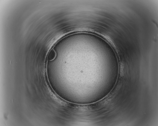 X0000103300895200809051520