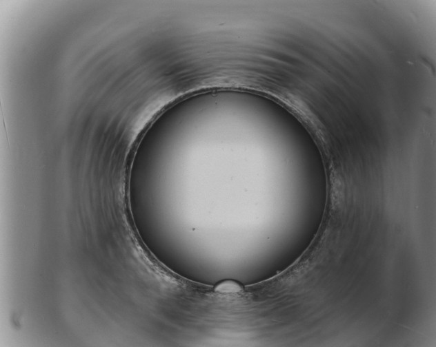 X0000103300896200809051520