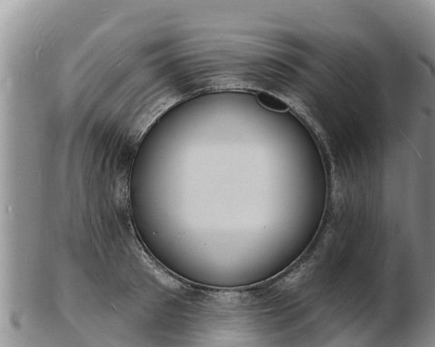 X0000103300897200809051520