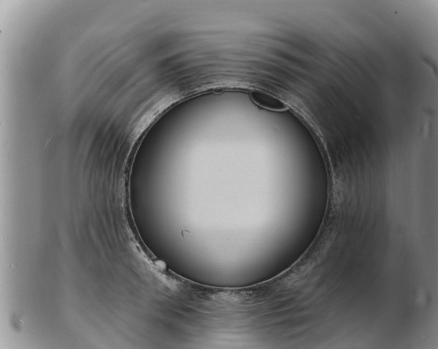 X0000103300898200809051520