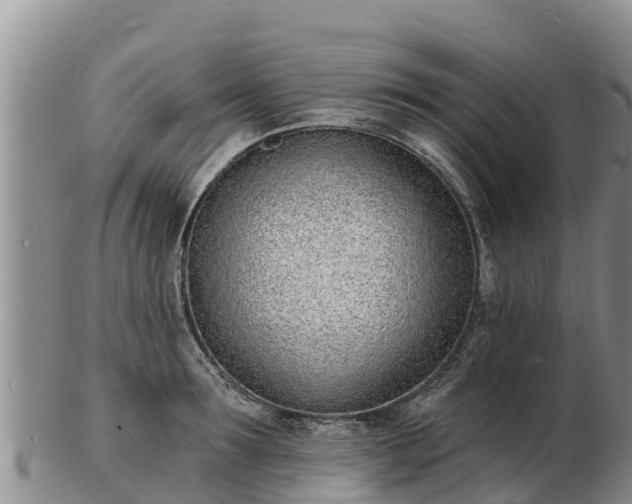 X0000103300899200809051520