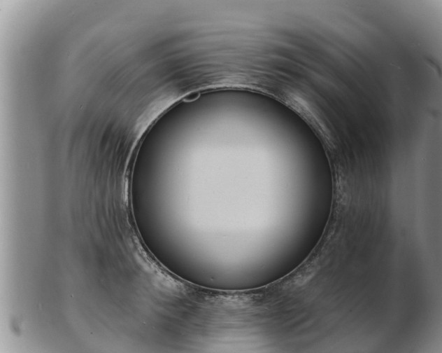 X0000103300900200809051520