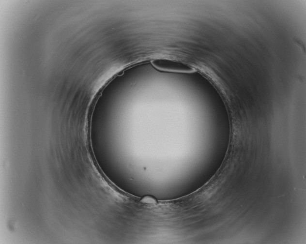 X0000103300902200809051520