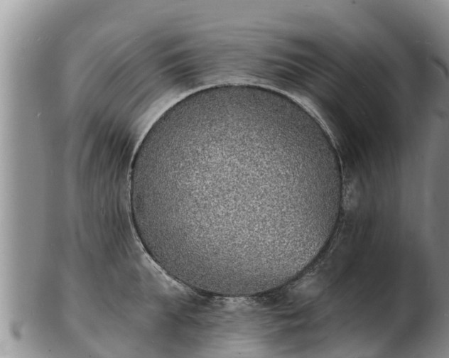 X0000103300903200809051520