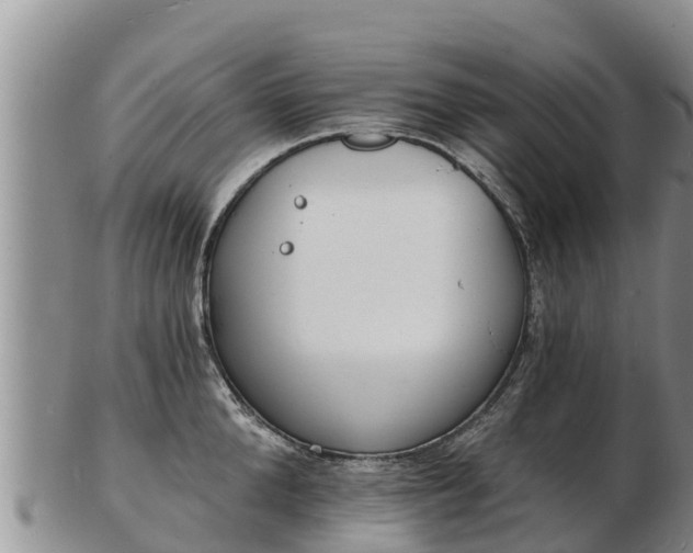 X0000103300904200809051520