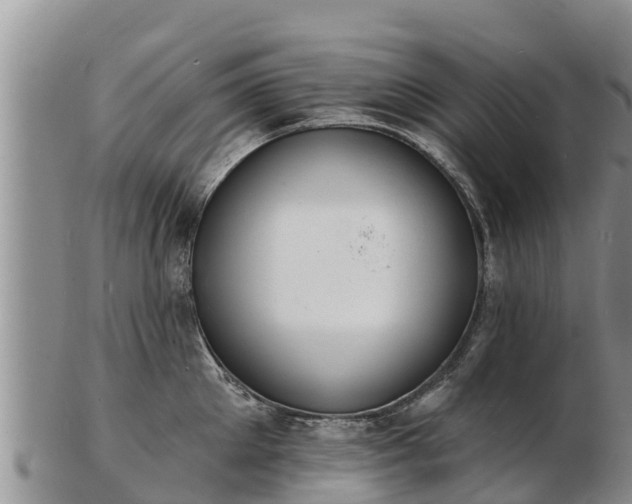 X0000103300905200809051520