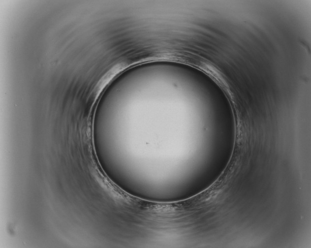 X0000103300907200809051520