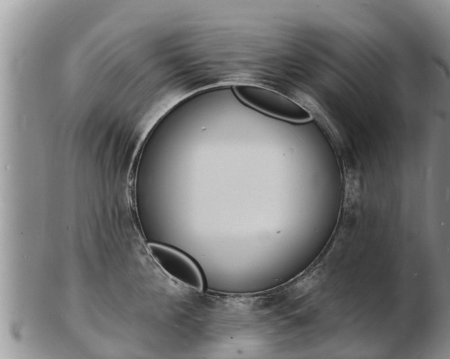 X0000103300908200809051520