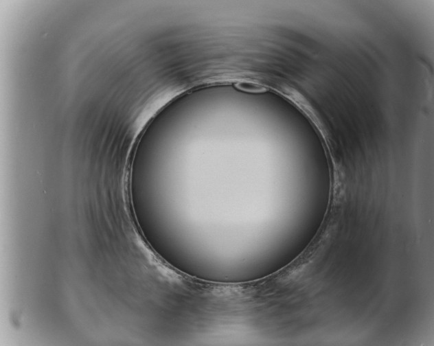 X0000103300909200809051520