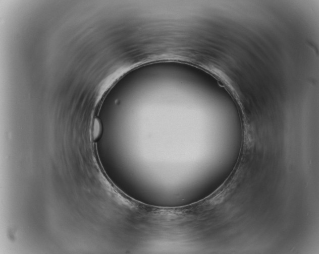 X0000103300910200809051520