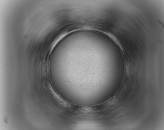 X0000103300911200809051520