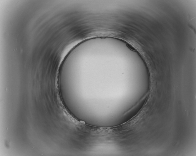 X0000103300912200809051520