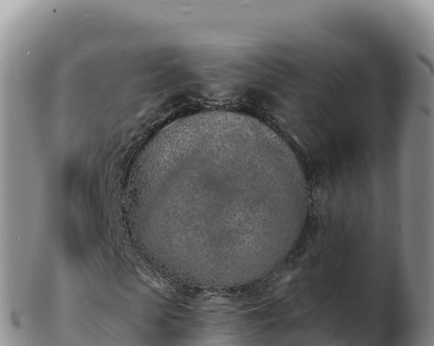 X0000103300913200809051519