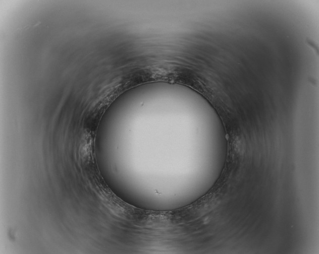 X0000103300914200809051519