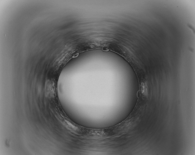 X0000103300915200809051519