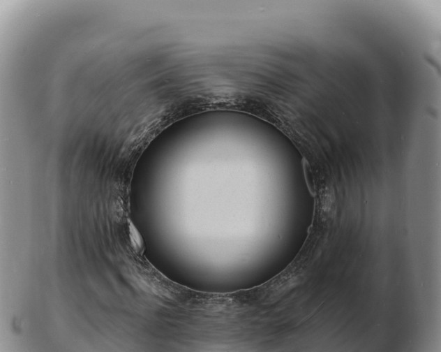 X0000103300916200809051519