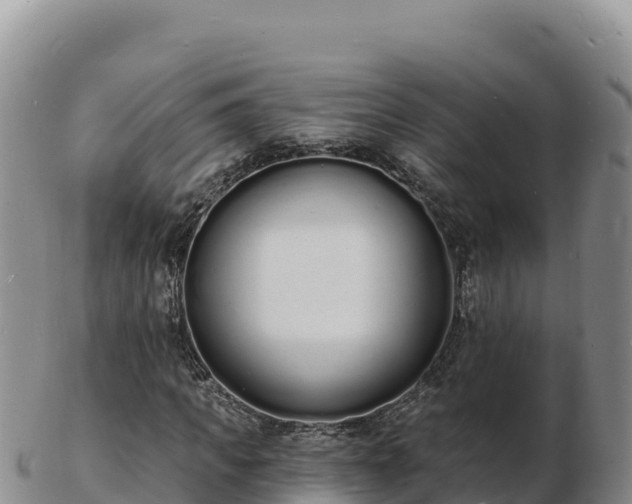 X0000103300917200809051519